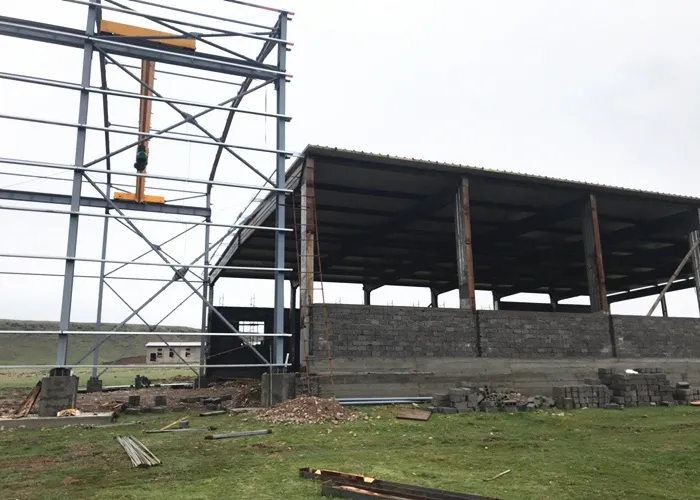 Crane Steel Structure