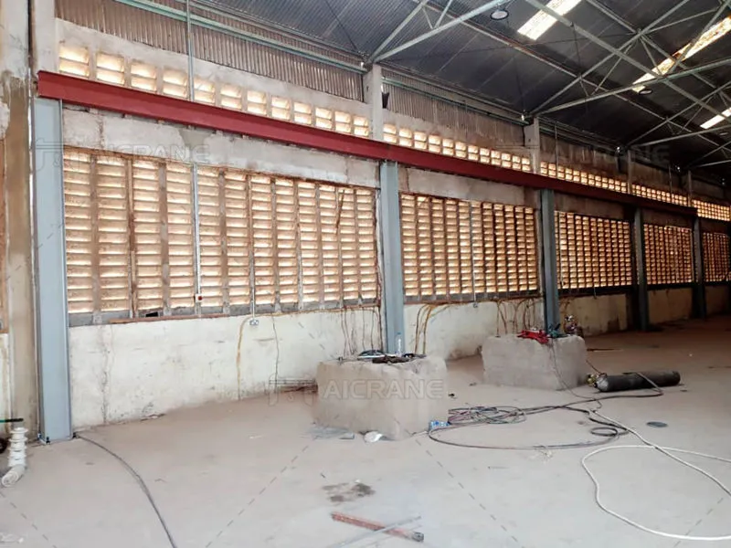 bridge crane in Tanzania